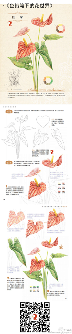 小猫尕尕采集到绘画