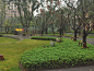 IMG_20200906_091255