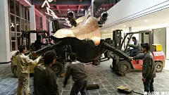 硬刃 蛇颈龙母子