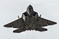 F - 22 猛禽