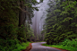 redwood-national-park-california-hdr-landscape-2d5af875ff2fe051d8570cedf4948901.jpg (2200×1468)