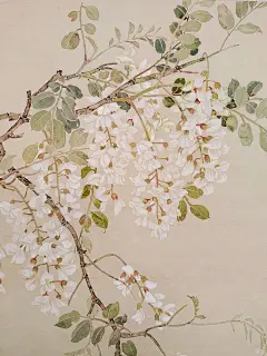 槐花飘香（附步骤图）_2_陳永立_来自小红书网页版