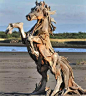 【用漂流木创造出的震撼人心的艺术作品】—— 美国年轻的艺术家Jeffro Uitto 利用在海岸边捡拾的漂流木、树枝和树根打造出一系列震撼人心的木雕艺术作品：将动物的模样以雕塑形式呈现出来。从远处看，这些雕塑和真的动物几乎没有任何区别；走近些看，它们那些用漂流木做成的身躯，形成一种强烈的视觉震撼，那种肌肉的力量感和朽木的沧桑感浑然天成，给人以无限遐思。