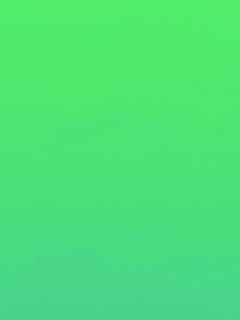 椿嘉采集到天生丽质难自弃