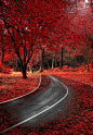 ^Autumn in red, Madrid, by Alfon No