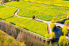 过云山居采集到美丽田园