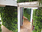 高仿真植物墙人造假绿植墙植物篱笆办公室专业厂家特价批发定做-淘宝网