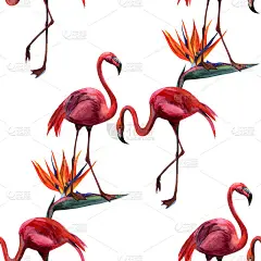 热带野生火烈鸟无缝图案。手绘丛林自然，花卉插画。印刷纺织品，布料，墙纸，剪贴簿