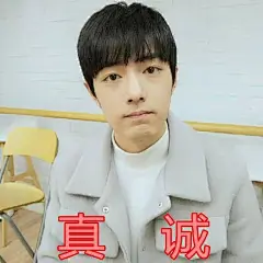 肖战表情包