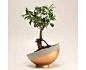 This spherical planter is up to the dirty work of gardening.