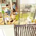 artwork concept art Digital Art  Drawing  ILLUSTRATION  painting  