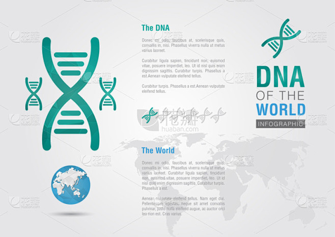 dna 的世界。信息图形与染色体世界.