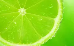 清爽柠檬高清电脑壁纸