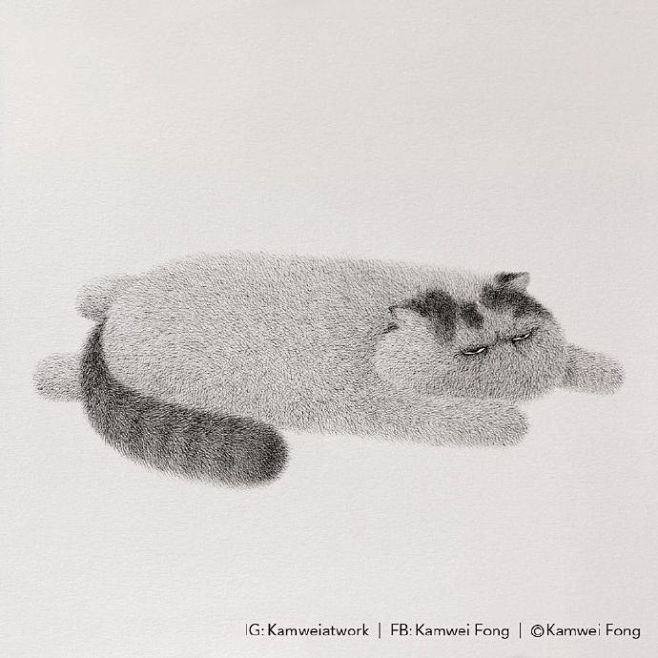 一群喵/插画师 Kamwei Fong ...