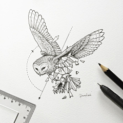 Lǒvの聪聪采集到插画