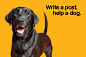 PEDIGREE-Write-A-Post-Help-A-Dogs-POSTCARDS-6.jpg (1800×1200)