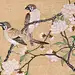 中国风国画古代名人名画花鸟画缂丝花鸟图册【桃花双雀】（局部）