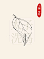 国画入门｜叶子的线描/白描合集9种姿态
