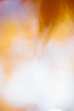 镜头里的秋日私语｜水乳交融的秋色画板 - 小红书
