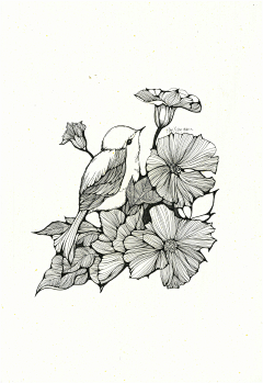 YS寻梅采集到线-插画