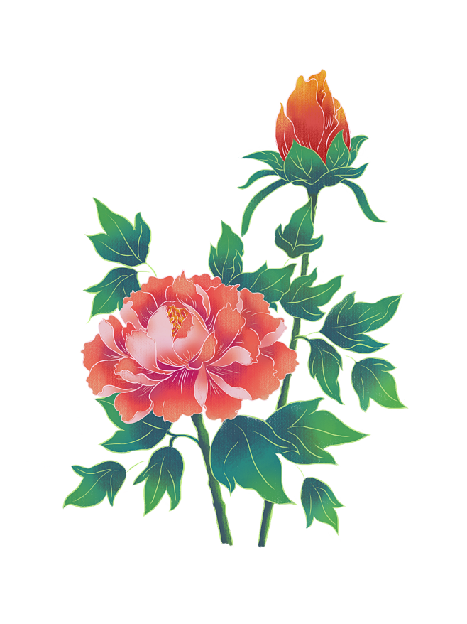 插画牡丹花元素素材 (127)