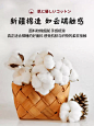 无印良品小清新纯棉老粗布床单单件加厚全棉亚麻被单人宿舍三件套-tmall.com天猫