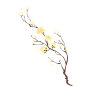 手绘水彩梅花花卉植物元素2