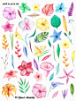 夏季五颜六色的水彩热带花卉花圈包 Watercolor Tropical Floral Pack - Watercolor Tropical Floral Pack (2).jpg