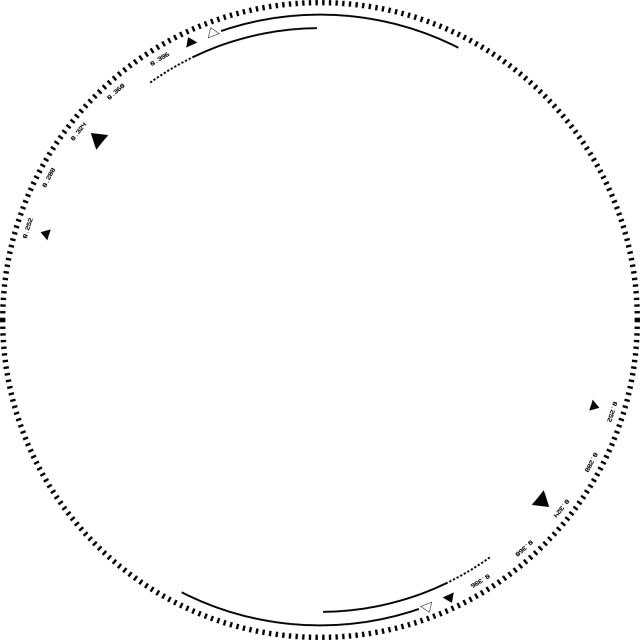 自定义／侵删