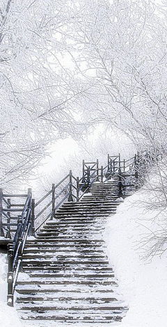 LY_一种相思采集到水彩风景