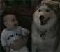 Pets are the best - Imgur