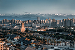 小王子的未名之花采集到摄影