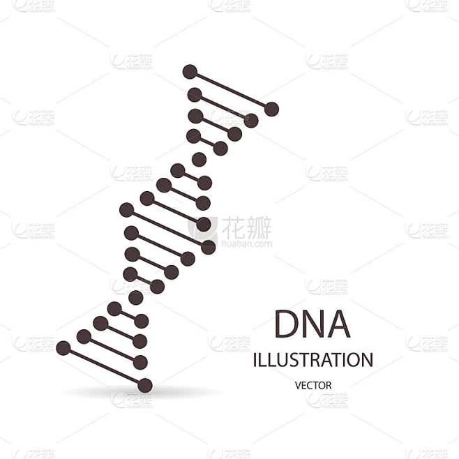 DNA符号在平面风格，在一个白色的背景素材-花瓣网