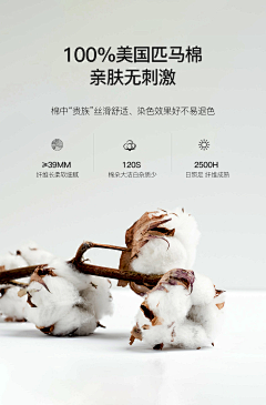 做一个世俗的人采集到恬