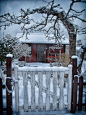 Winter garden, Sweden