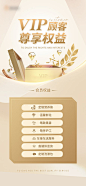 VIP权益海报-源文件