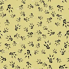 小的,啮齿目,老鼠,四方连续纹样,鼠,痕迹,脚印,玩具,野生动物,麝鼠