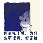 小仓鼠-兴趣部落