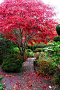 日本极富禅意的庭院元素