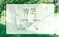 《青茫》#素锦封面##触漫封面#