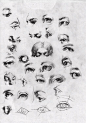 眼睛，鼻子，耳朵的不同方向，不同画法 ​​​​