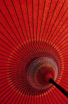 Savage茱采集到Colour