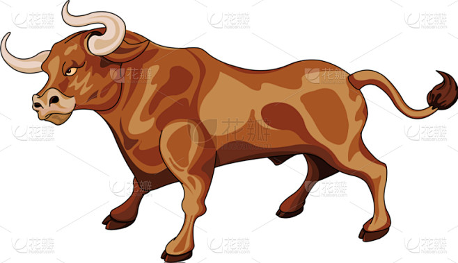 公牛,可爱的,农业,哺乳纲,牛,动物,有...