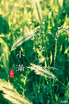 木语Y5采集到绘+设-节日