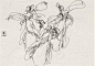 速写大师陈玉先作品100幅（3）