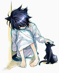 拜拜鱼采集到猫