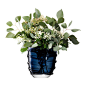 Buy LSA International Yarn Vase - Sapphire Blue - 24cm | Amara : Add an artistic touch to any interior with the Yarn vase from LSA International. Inspired by fabric, this sapphire blue vase has an organic form and features thick threads of glass that echo