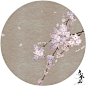 可商用ps素材#可商用ps素材# 
【虞美人】凑到了第一个合集！
这周是虞美人凑了九，把以前的八个素材收录到了一个合集中，使用详情、关键字都在平论里噢
ps差点忘了要更新 ​​​​