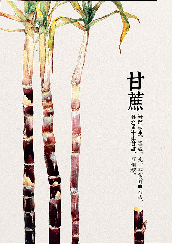 水果呀