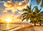 黄昏沙滩椰树美景高清摄影图片
